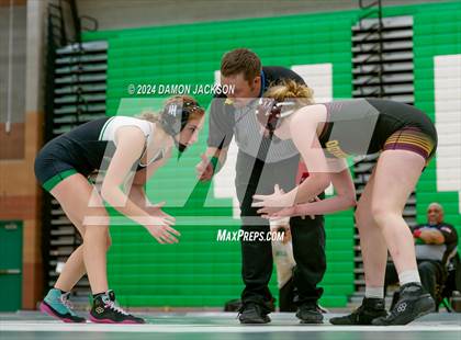 Thumbnail 2 in Eldorado vs Virgin Valley photogallery.