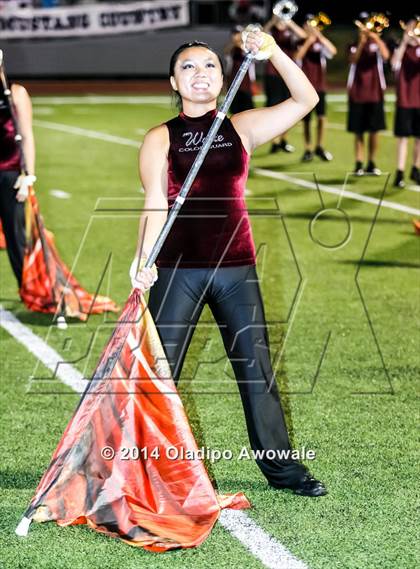 Thumbnail 2 in Sachse @ Wylie photogallery.