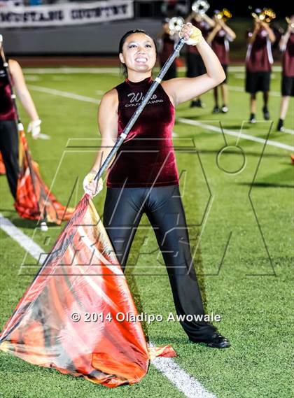 Thumbnail 3 in Sachse @ Wylie photogallery.