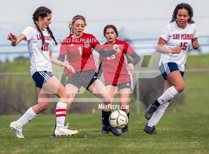 Thumbnail 3 in Las Plumas @ Corning photogallery.