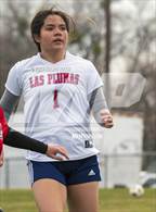 Photo from the gallery "Las Plumas @ Corning"