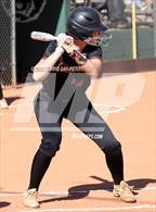 Photo from the gallery "Chaparral @ Horizon"