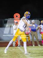 Photo from the gallery "Charlotte @ Braden River"