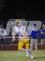 Photo from the gallery "Charlotte @ Braden River"