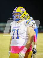 Photo from the gallery "Charlotte @ Braden River"