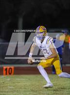 Photo from the gallery "Charlotte @ Braden River"