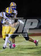 Photo from the gallery "Charlotte @ Braden River"