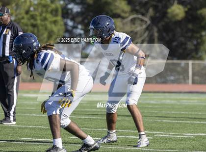 Thumbnail 1 in Santa Monica @ Peninsula photogallery.