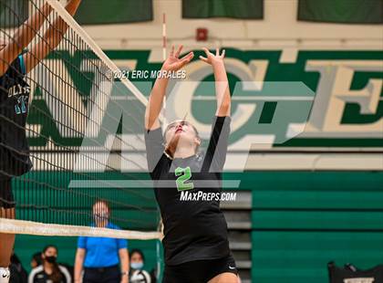 Thumbnail 3 in Olympian @ Hilltop photogallery.