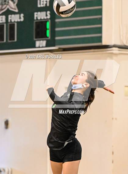 Thumbnail 3 in Olympian @ Hilltop photogallery.