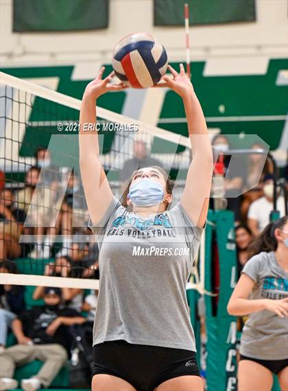 Thumbnail 2 in Olympian @ Hilltop photogallery.