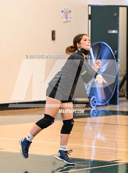 Thumbnail 1 in Olympian @ Hilltop photogallery.