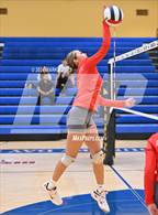 Photo from the gallery "Santa Cruz Valley @ Phoenix Country Day"