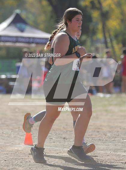Thumbnail 1 in CIF SJS Subsection (Divison 5) photogallery.