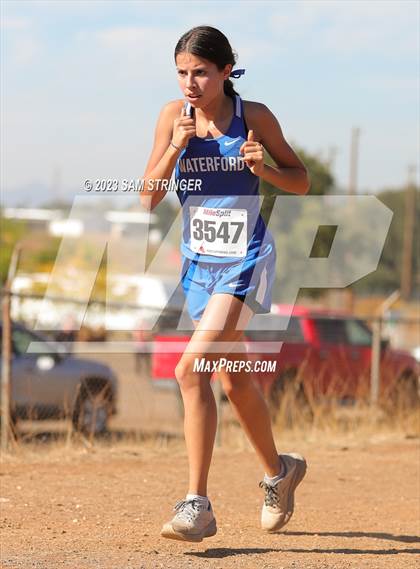 Thumbnail 1 in CIF SJS Subsection (Divison 5) photogallery.