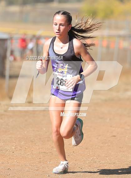 Thumbnail 3 in CIF SJS Subsection (Divison 5) photogallery.