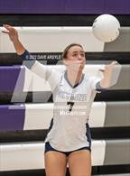 Photo from the gallery "Skyline vs. Timberline"