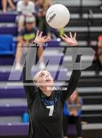 Photo from the gallery "Skyline vs. Timberline"