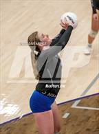 Photo from the gallery "Skyline vs. Timberline"