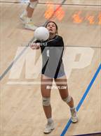 Photo from the gallery "Skyline vs. Timberline"
