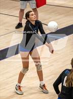 Photo from the gallery "Skyline vs. Timberline"