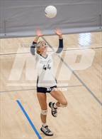 Photo from the gallery "Skyline vs. Timberline"