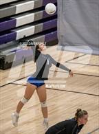 Photo from the gallery "Skyline vs. Timberline"