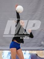 Photo from the gallery "Skyline vs. Timberline"
