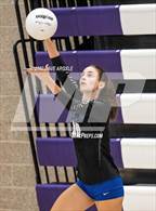 Photo from the gallery "Skyline vs. Timberline"
