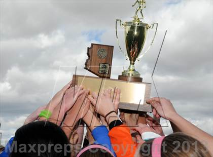 Thumbnail 3 in Apollo vs. Catalina Foothills (AIA D2 Final) photogallery.