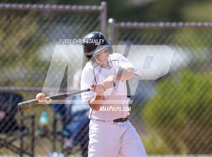 Thumbnail 1 in Williams @ Mayer photogallery.