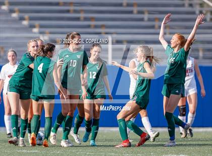 Thumbnail 3 in Westminster vs. North Oconee (GHSA 4A Championship) photogallery.