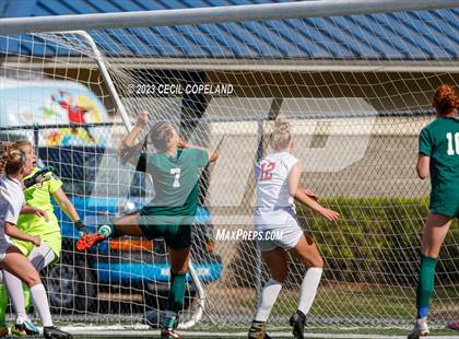 Thumbnail 1 in Westminster vs. North Oconee (GHSA 4A Championship) photogallery.