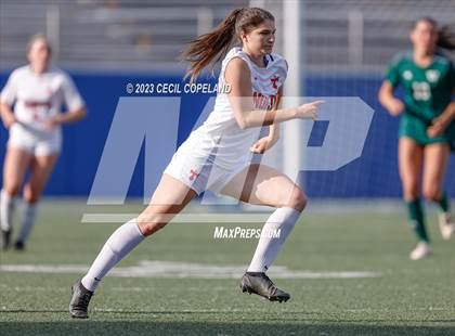 Thumbnail 2 in Westminster vs. North Oconee (GHSA 4A Championship) photogallery.