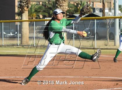 Thumbnail 1 in Cactus Shadows @ St. Mary's photogallery.