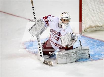 Thumbnail 3 in Bedford vs Concord (NHIAA D1 Final) photogallery.