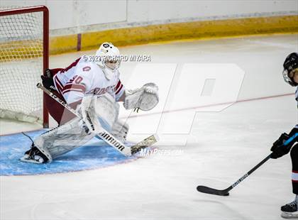 Thumbnail 1 in Bedford vs Concord (NHIAA D1 Final) photogallery.