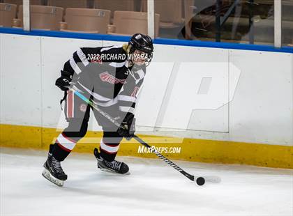 Thumbnail 1 in Bedford vs Concord (NHIAA D1 Final) photogallery.