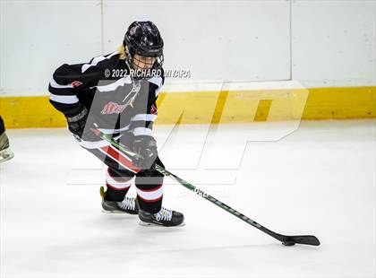 Thumbnail 1 in Bedford vs Concord (NHIAA D1 Final) photogallery.