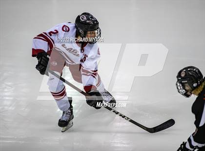 Thumbnail 3 in Bedford vs Concord (NHIAA D1 Final) photogallery.