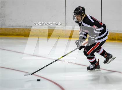 Thumbnail 1 in Bedford vs Concord (NHIAA D1 Final) photogallery.