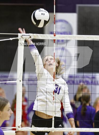 Thumbnail 1 in Huntington North @ Leo photogallery.