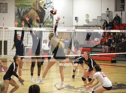 Thumbnail 1 in Urbana @ Dulaney (MPSSAA 4A Regional Playoff) photogallery.