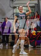 Photo from the gallery "Pioneer @ McAllen"