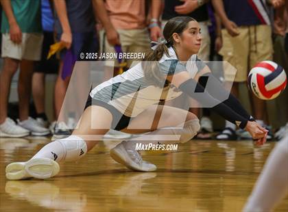 Thumbnail 2 in Pioneer @ McAllen photogallery.