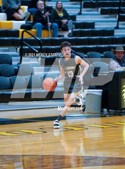 Thumbnail 1 in Perrin-Whitt @ Chico photogallery.