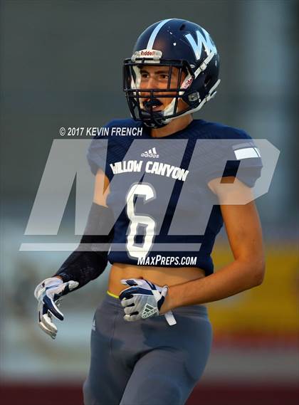 Thumbnail 3 in Vista Grande @ Willow Canyon photogallery.