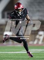 Photo from the gallery "Roman Catholic @ St. Joseph's Prep"