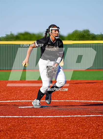 Thumbnail 2 in Mumford vs Giddings photogallery.