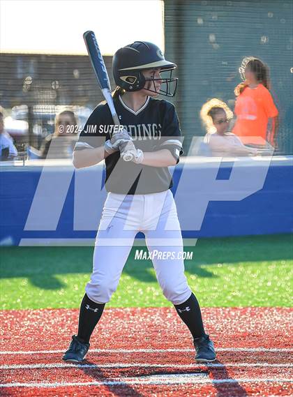 Thumbnail 1 in Mumford vs Giddings photogallery.